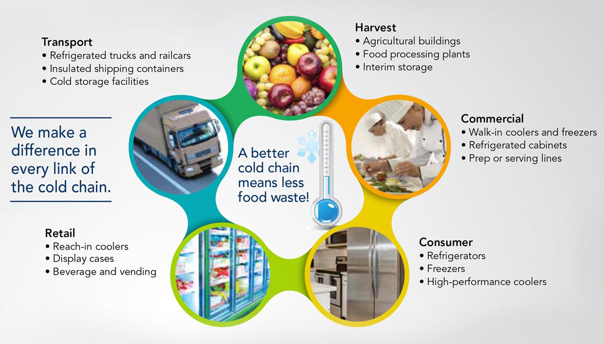 Adds Recyclable Cold Chain Grocery Delivery Packaging -  Environment+Energy Leader